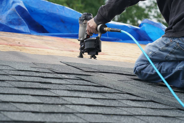 Best Roof Gutter Cleaning  in New Richmond, WI